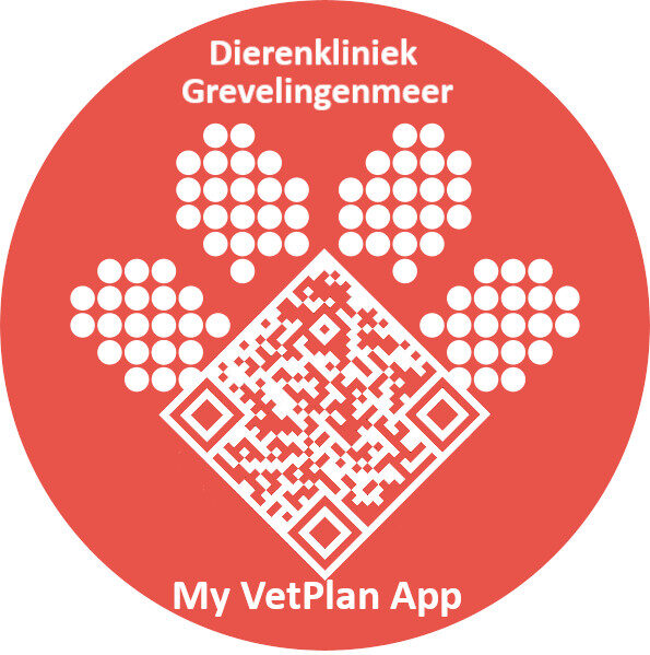 Voordelige preventieve zorg voor uw hond, kat of konijn - Dierenkliniek ...